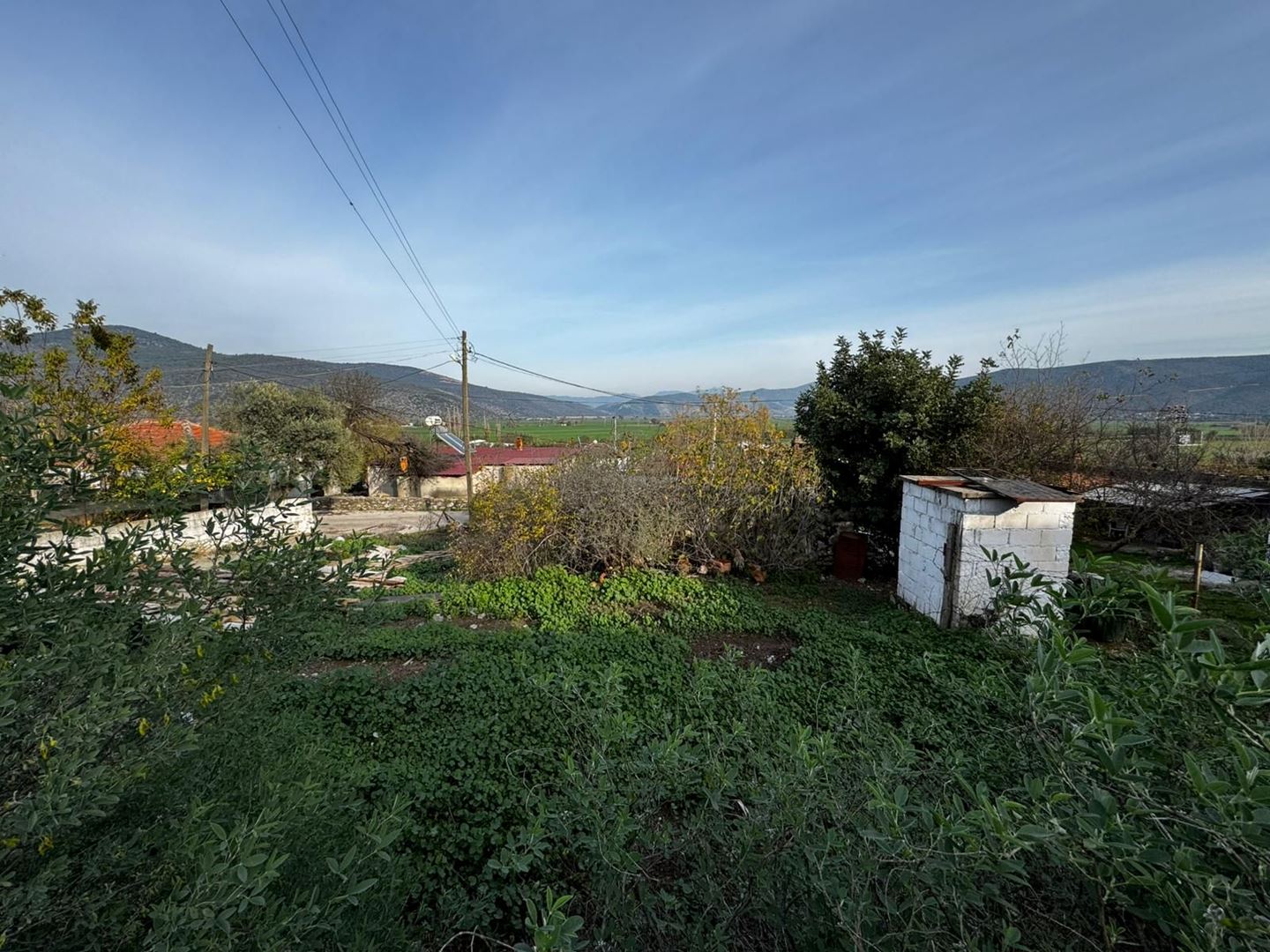 Property-photo