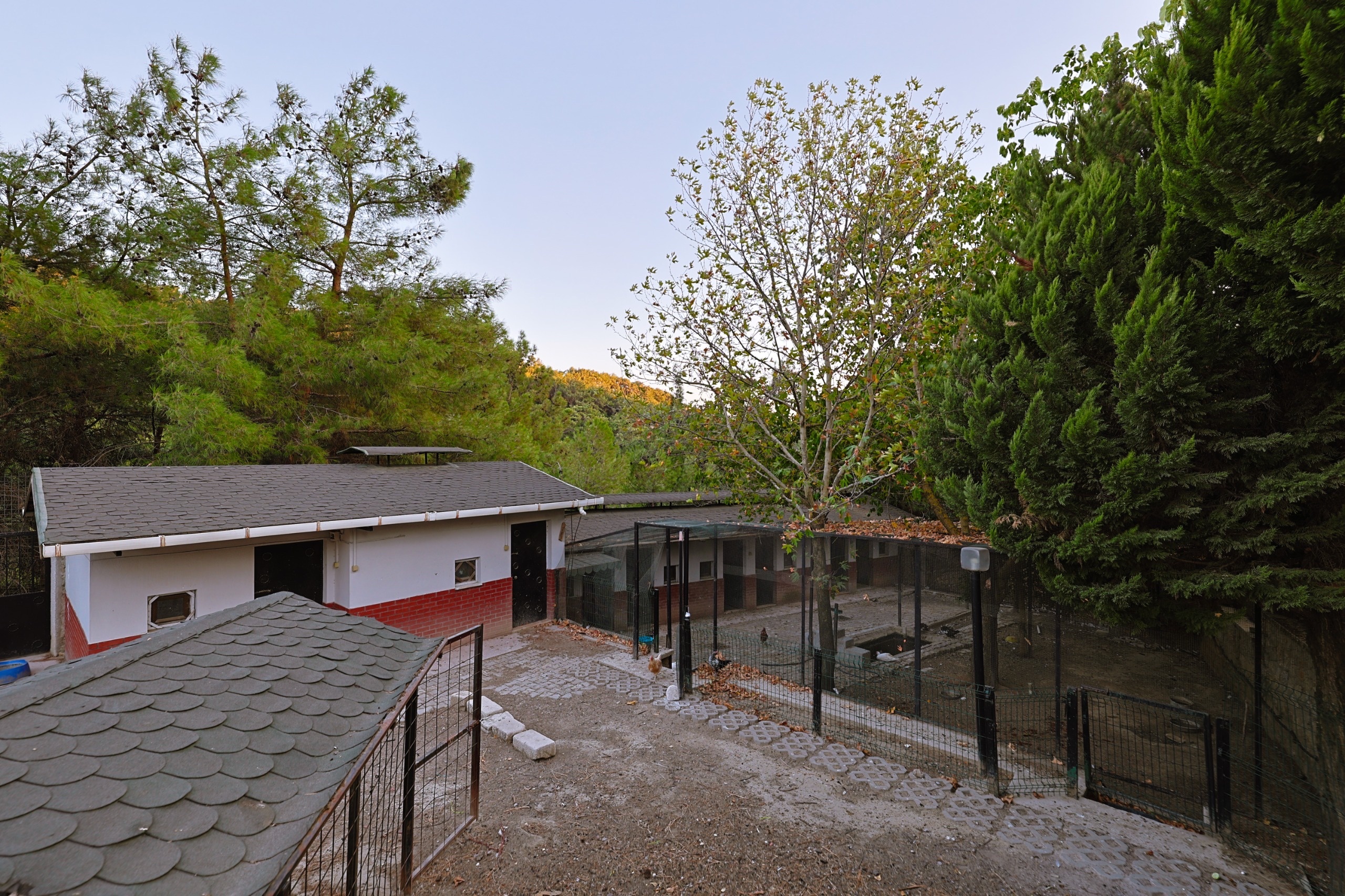 Property-photo
