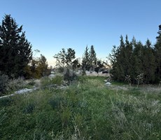 KIBRIS GIRNE DOGANKOYDE 1800 M2 SATILIK 1 DONUM ARSA