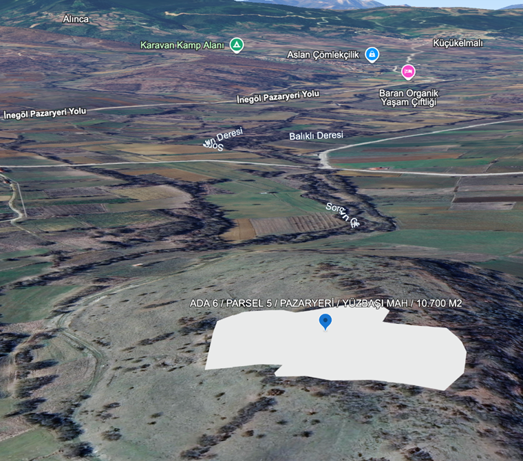 Bilecik Pazaryeri Yüzbaşı Mahallesi 10.703 m² Yatırımlık Tarla