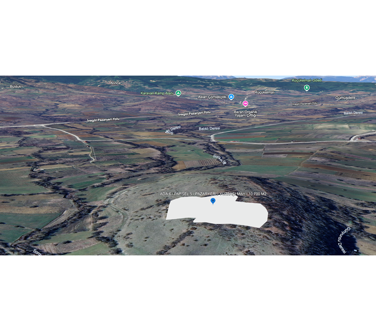 Bilecik Pazaryeri Yüzbaşı Mahallesi 10.703 m² Yatırımlık Tarla