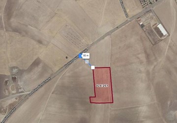 DOĞANTARLADA ÇELTEK KÖYÜ YOLUNDA 8392 M² TARLA