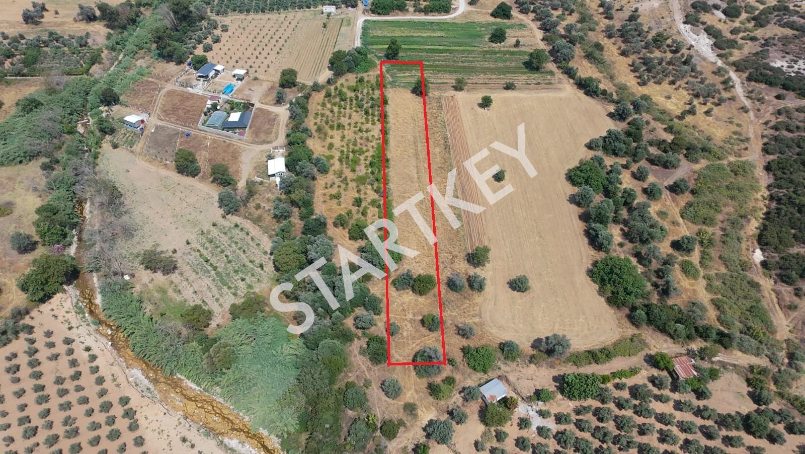 Property-photo