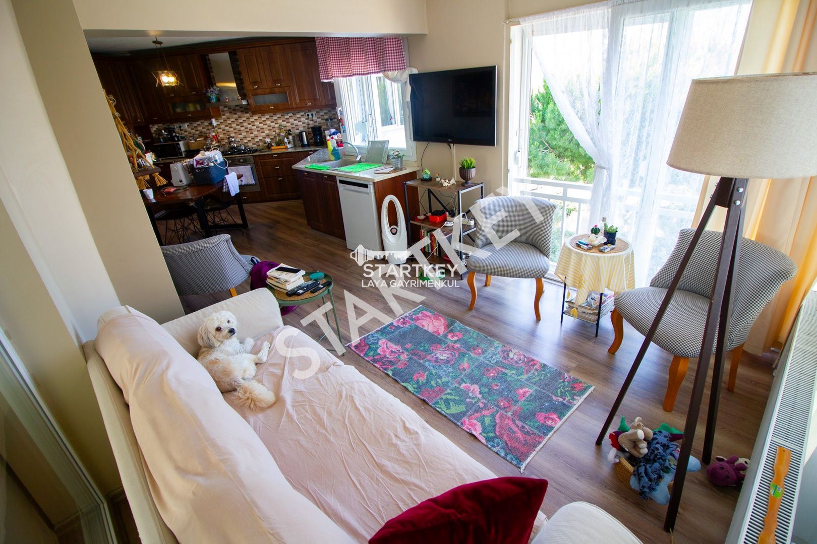 Property-photo