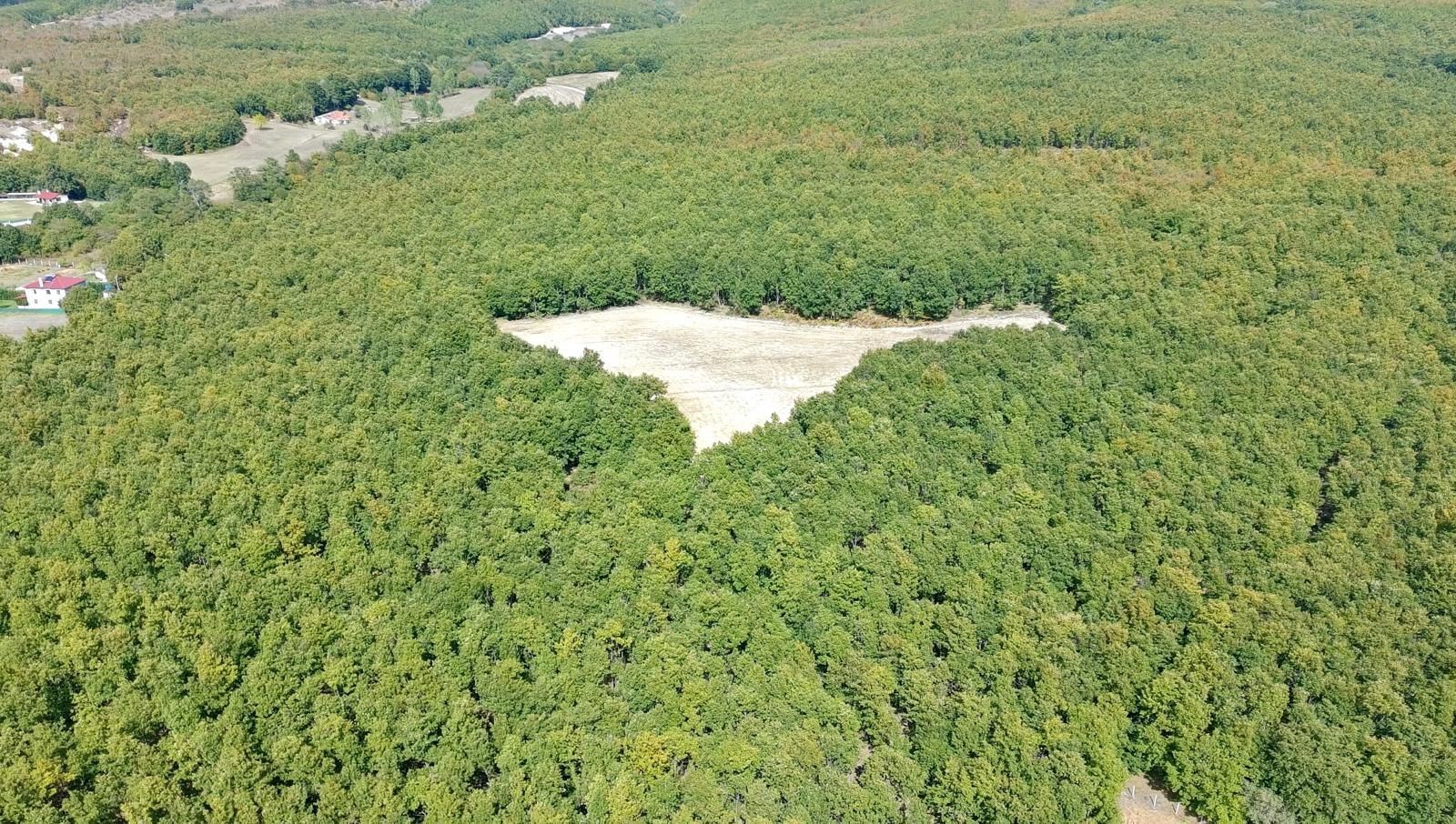 BİNKILIÇ ORMAN İÇİNDE ÖZEL KONUMLU 6.745 m2. ARAZİ