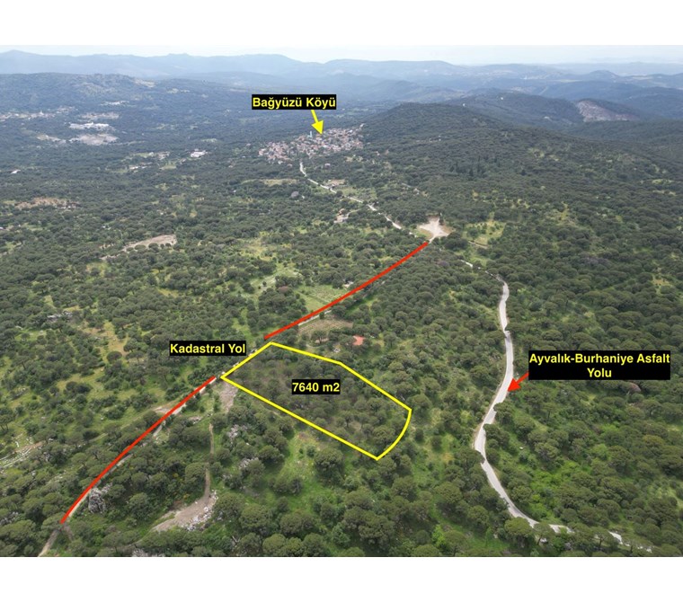 ALTIN EMLAKTAN BAĞYÜZÜ MERASINDA SATILIK 7640M2 FISTIKLIK