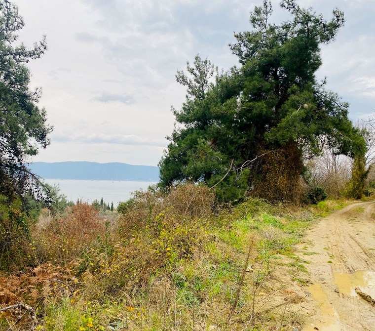 VİLLA YAPIMINA UYGUN DENİZ MANZARALI 4753 m² SATILIK ARSA
