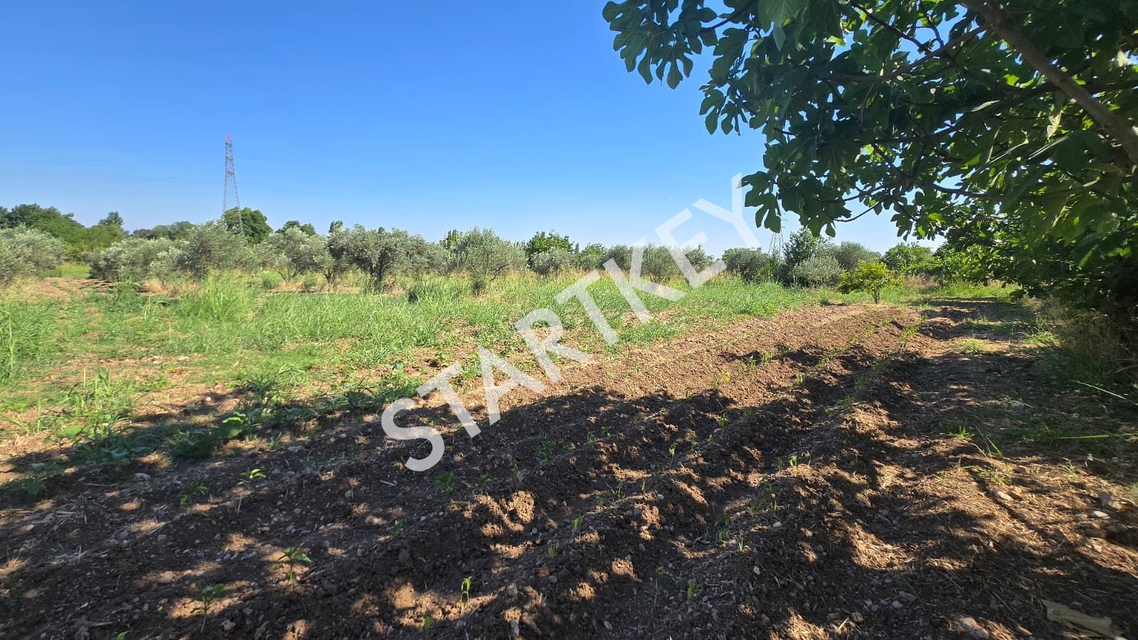 Property-photo