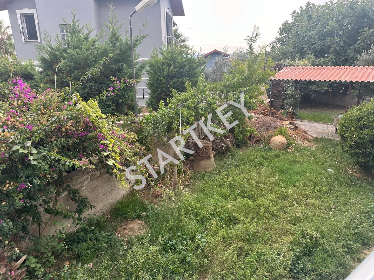 Property-photo