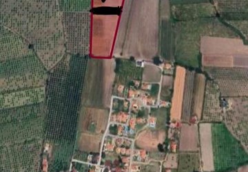 SATILIK VERİMLİ TARLA – YATIRIMLIK FIRSAT!