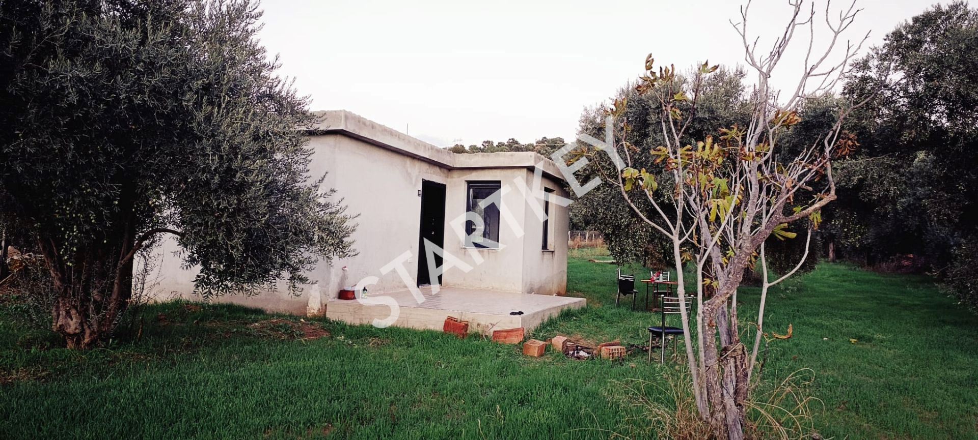 Property-photo
