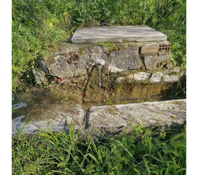 ALTIN EMLAKTAN AYVALIK FETHİYEDE SATILIK 6091 M2 ZEYTİNLİK