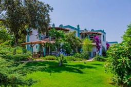 recent-property