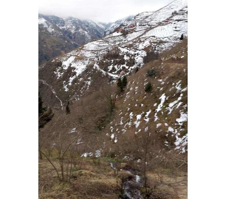 TRABZON YOMRA KELEPİR 8050m2 ARSA