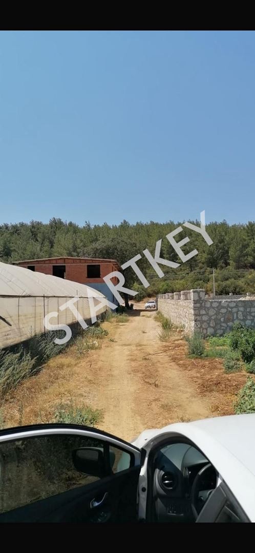 Property-photo