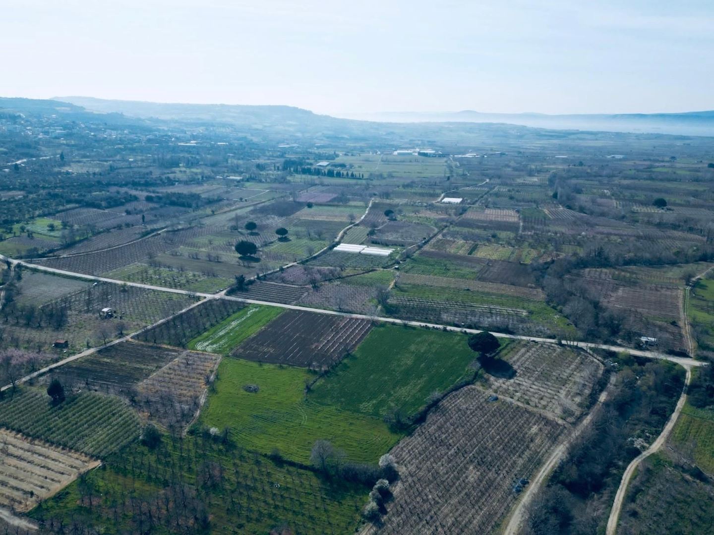 UMURBEYDE TARIMA ELVERİŞLİ ARAZİ — Çanakkale gayrimenkul ilan görseli 2 / 6, Aevum Troia
