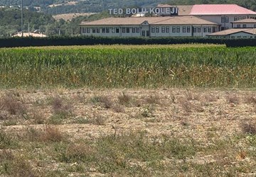 ALTIN EMLAK BOLU ÇARŞI TEMSİLCİLİĞİNDEN SATILIK ARSA