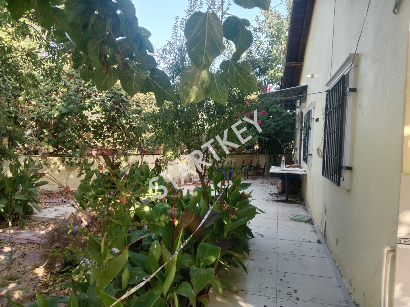Property-photo
