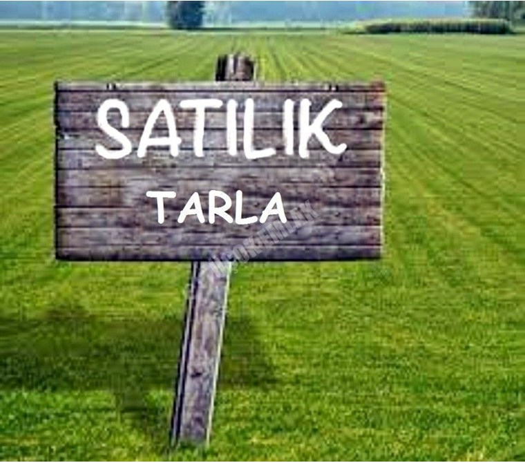 Gümüşdere Merkezde Yapı Kayıt Belgeli Konteynerlı Arsa