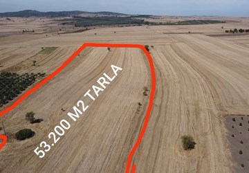 BALIKESİR GÖNEN KÜÇÜKSOĞUKLAR MAH 59.200 M2 TARLA EV ZEYTİNLİK