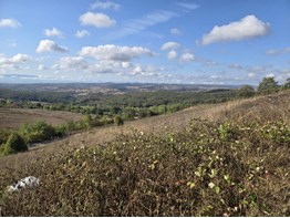 İzmit Çağırgan'da Satılık 14.252 m2