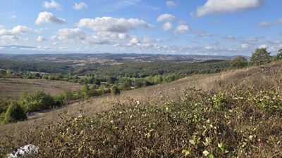 İzmit Çağırgan'da Satılık 14.252 m2