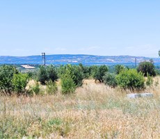 ÇANAKKALE LAPSEKİ UMURBEYDE BOĞAZ MANZARALI İMARLI ARSA
