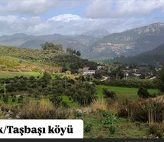 Göcek Taşbaşında Satılık hisseli tarla .Köy yerleşim alanı fiyat performans arazidir