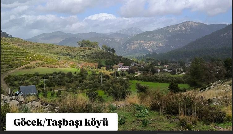 Göcek Taşbaşında Satılık hisseli tarla .Köy yerleşim alanı fiyat performans arazidir