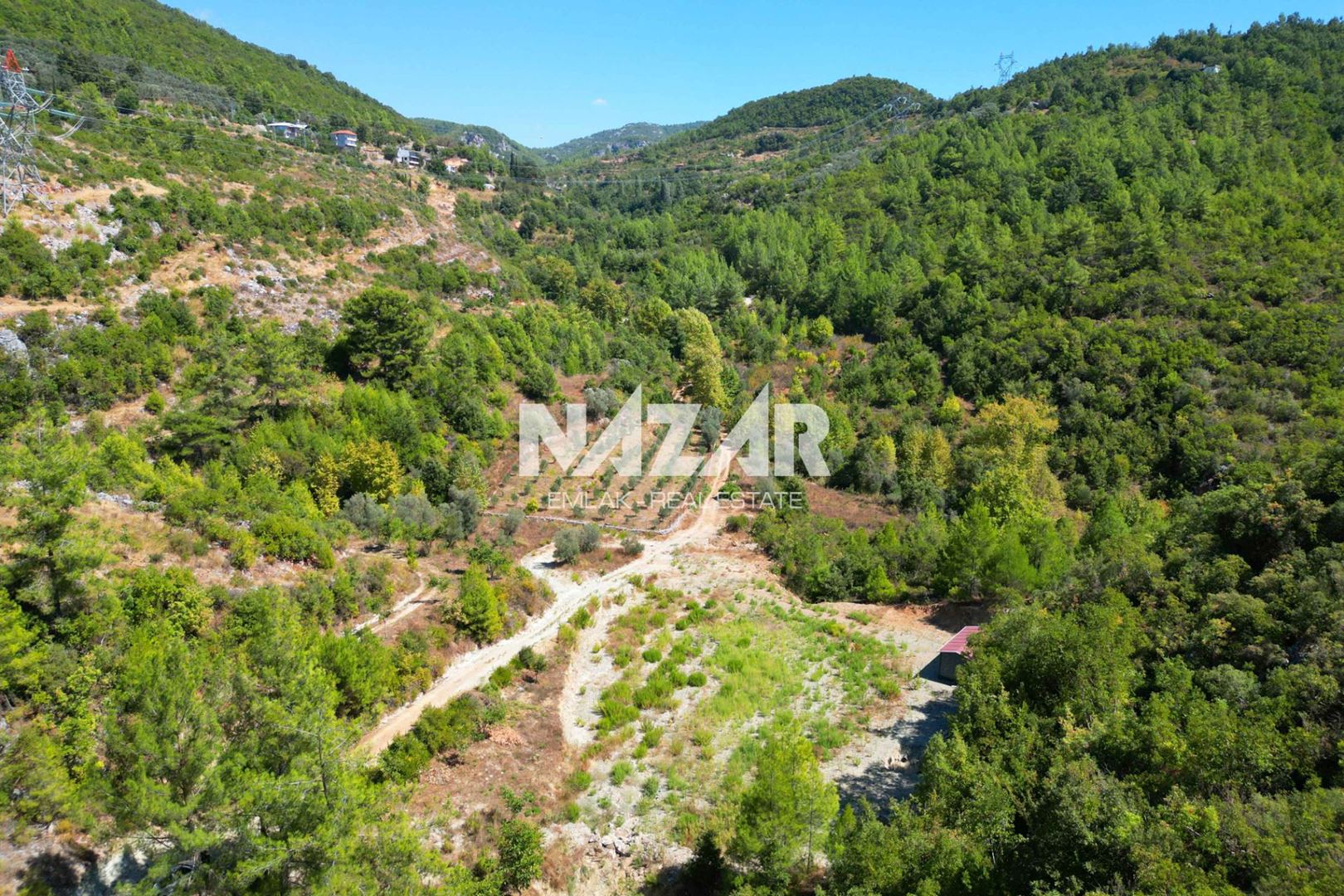 Property-photo