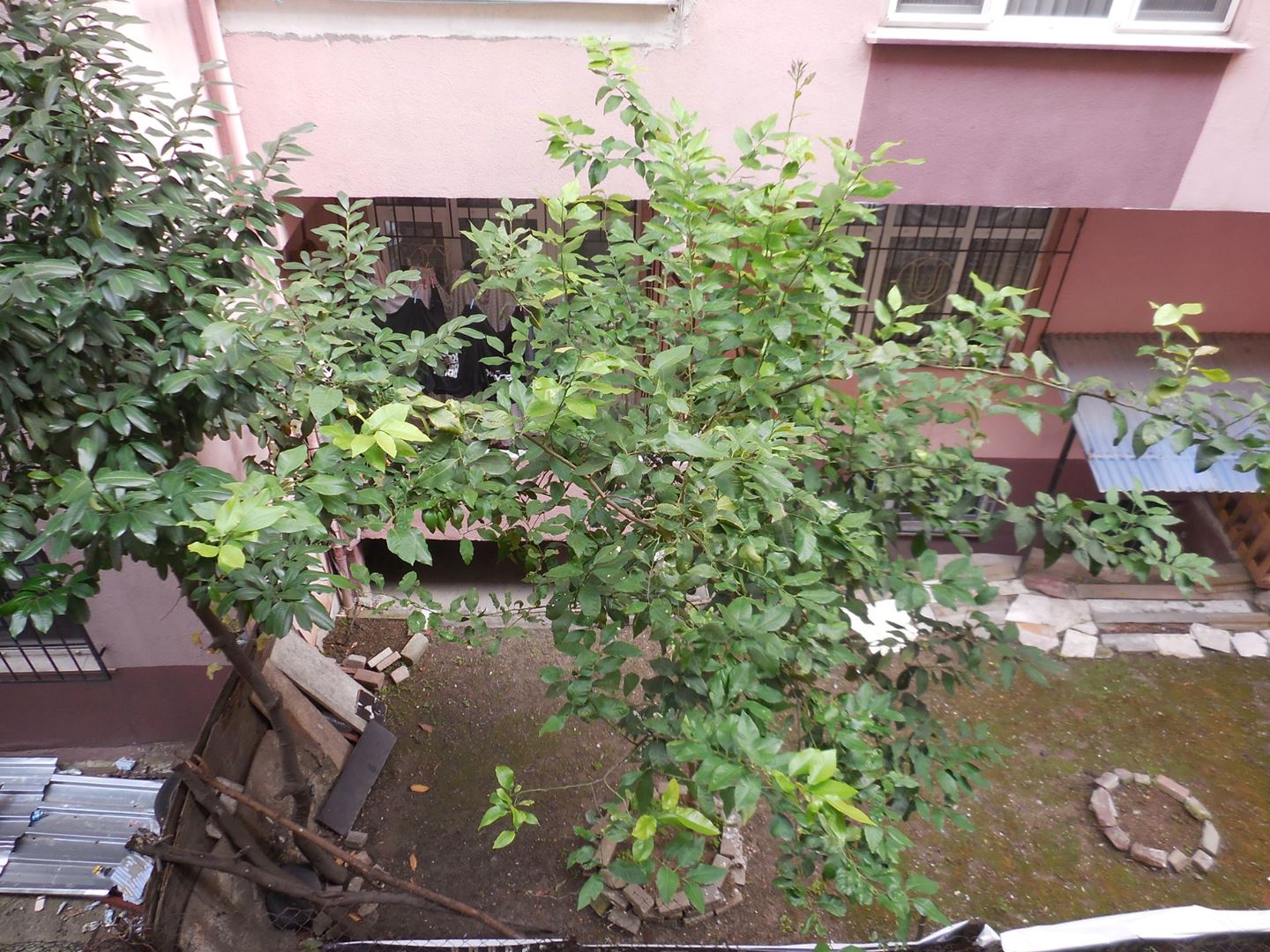 Property-photo