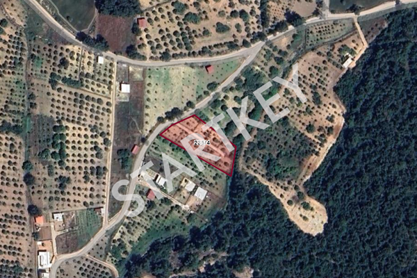 Property-photo