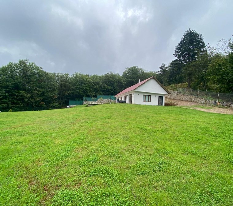 Başiskele Servetiye’de Özel Havuzlu, Tek Katlı 3+1 Eşyalı Villa – 1.800 m² Bahçe İçinde