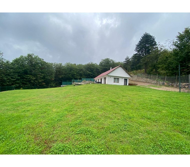 Başiskele Servetiye’de Özel Havuzlu, Tek Katlı 3+1 Eşyalı Villa – 1.800 m² Bahçe İçinde