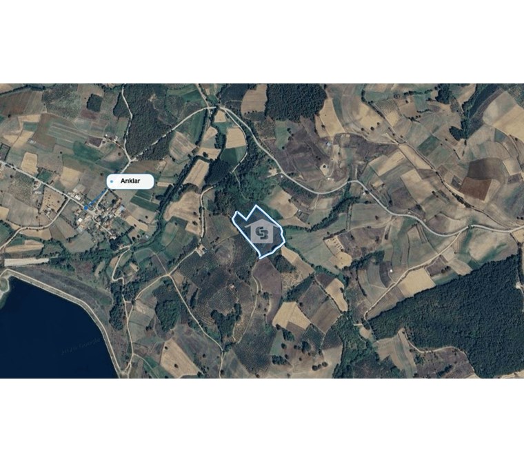 KANDIRA MÜLKÜŞEHSUVAR’DA MANZARALI SATILIK FINDIK BAHÇESİ VE TARLA