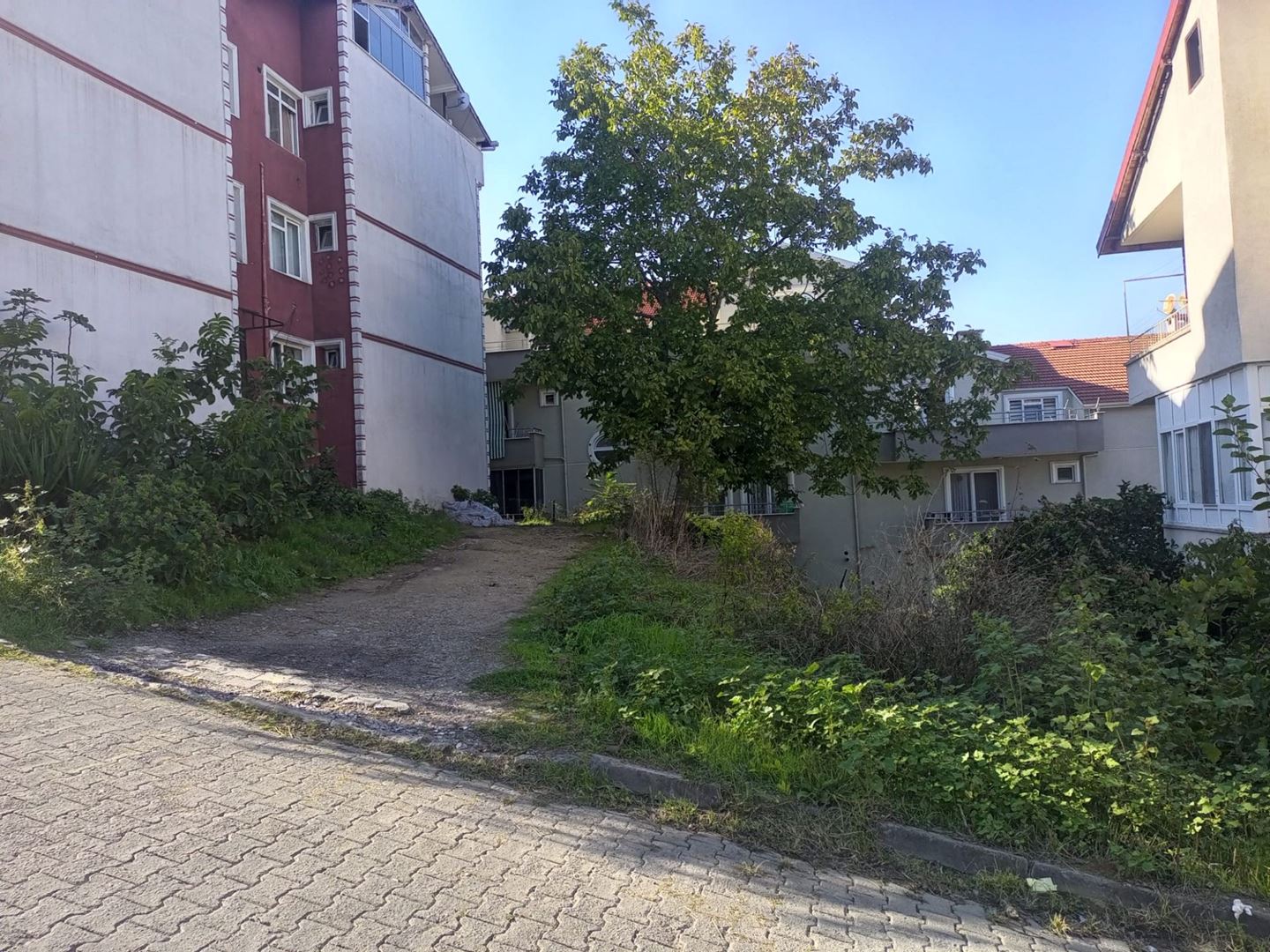 Property-photo