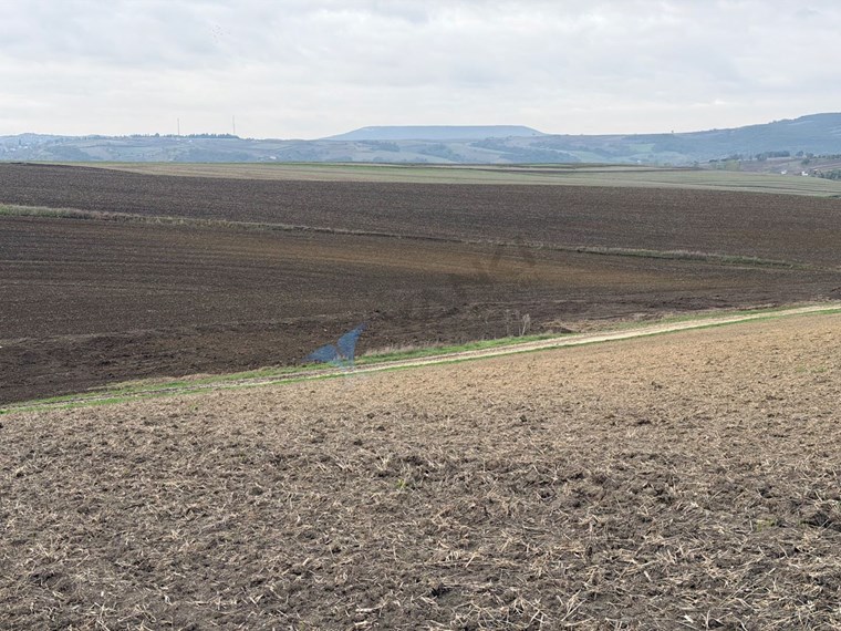 TEKIRDAĞ SÜLEYMANPAŞA OSMANLI KÖYÜ’NDE 89.240 M² SATILIK TARLA