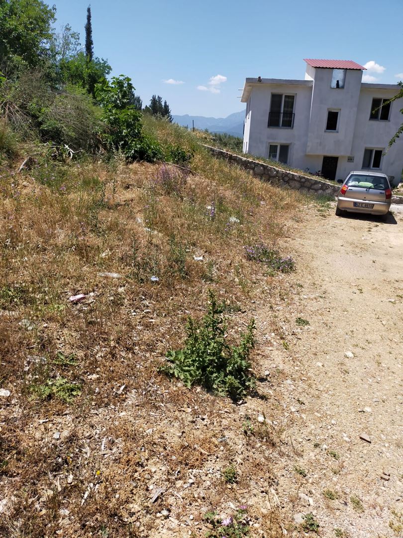 Property-photo