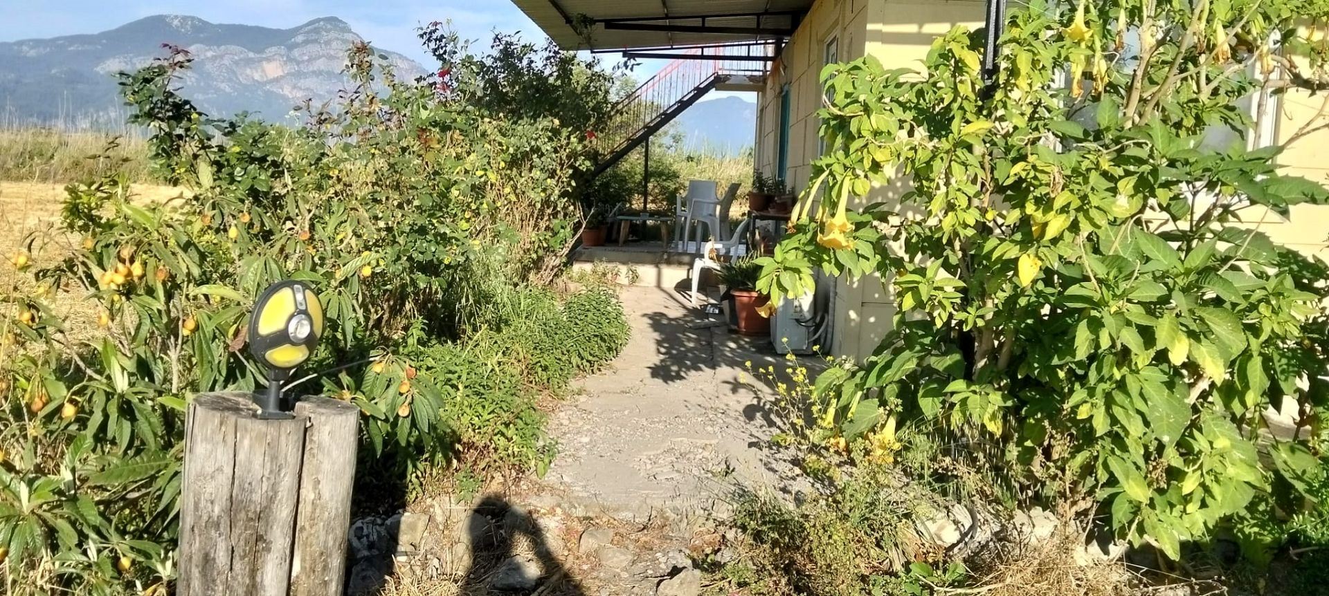 Property-photo