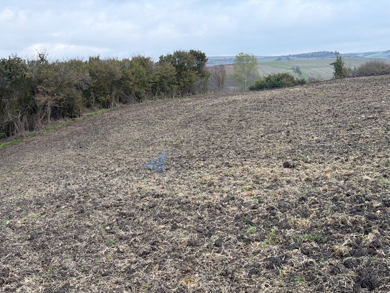TEKIRDAĞ SÜLEYMANPAŞA OSMANLI KÖYÜ’NDE 89.240 M² SATILIK TARLA