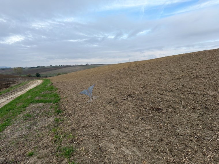 TEKIRDAĞ SÜLEYMANPAŞA OSMANLI KÖYÜ’NDE 89.240 M² SATILIK TARLA