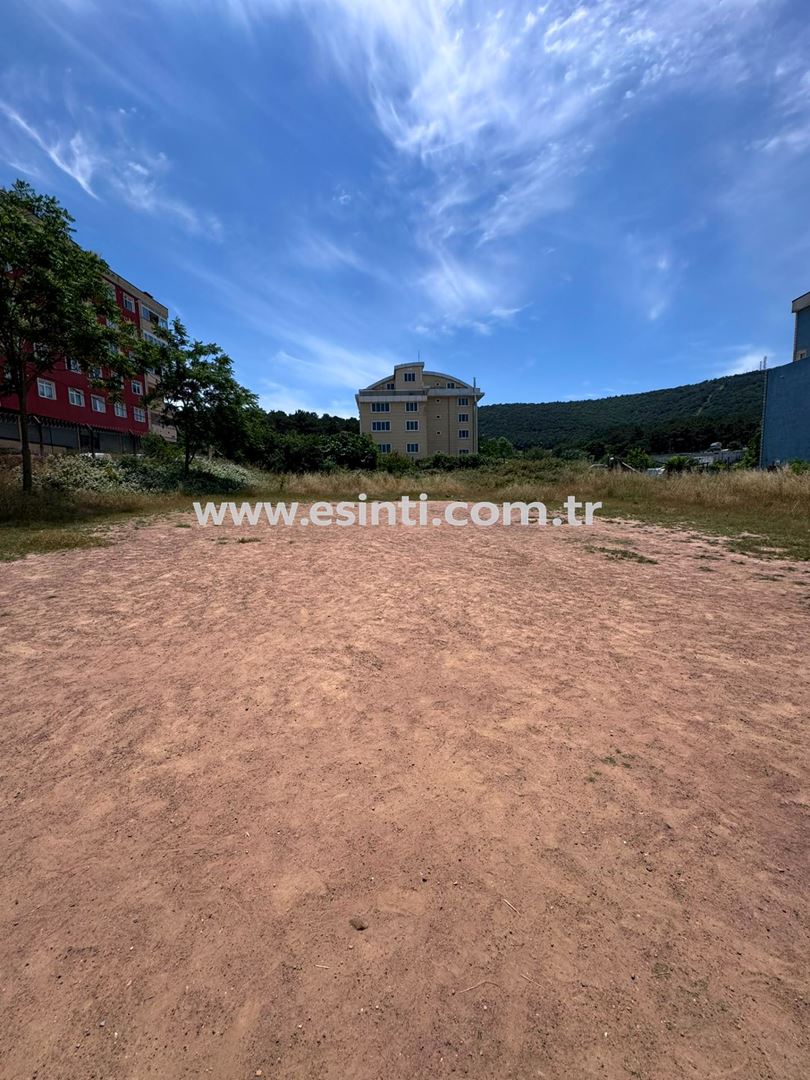 Property-photo