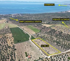 ALTIN EMLAKTAN AYVALIKTA İZMİR ANAYOLA YAKIN 13.786 M2 ZEYTİNLİK