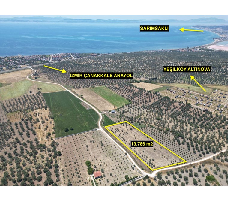 ALTIN EMLAKTAN AYVALIKTA İZMİR ANAYOLA YAKIN 13.786 M2 ZEYTİNLİK
