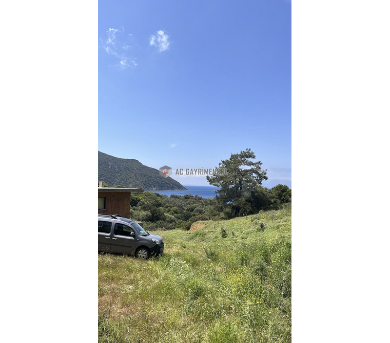 Datça Murdala Koyu'na Yürüme Mesafesinde 2000M² Zeytinlik