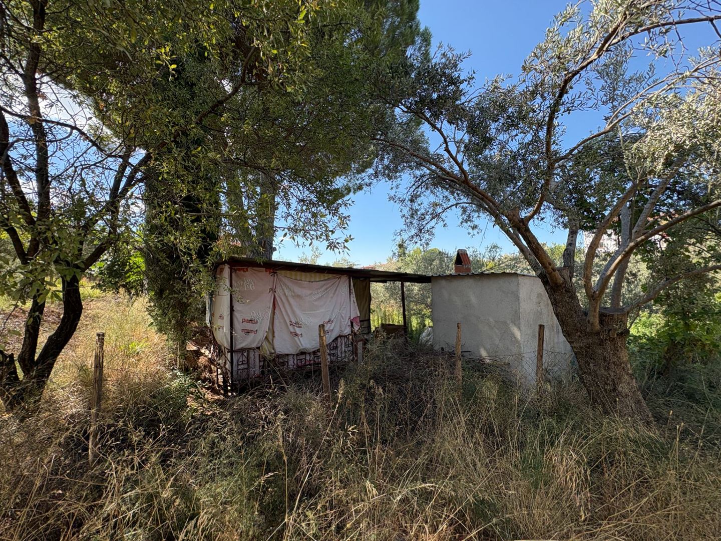 Property-photo