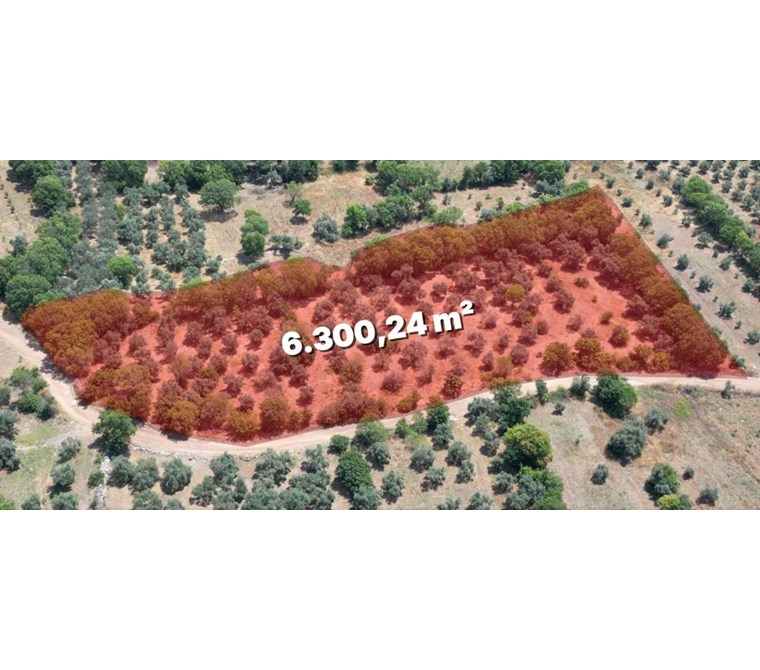POYRAZDAN DÖŞEMEALTI KARAVELİLERDE 6.300m² SATILIK TARLA