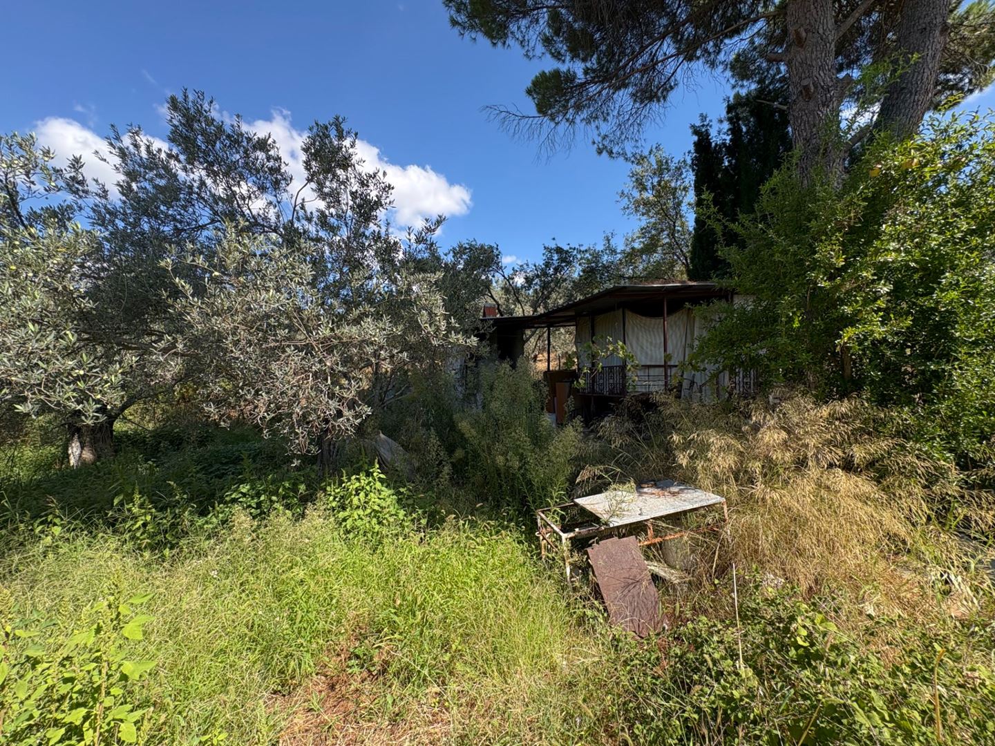 Property-photo