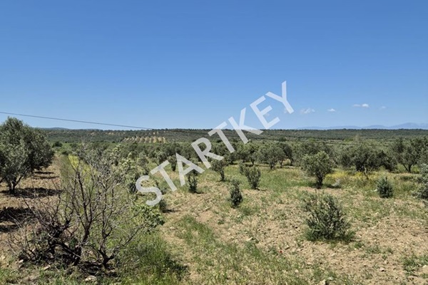 Property-photo