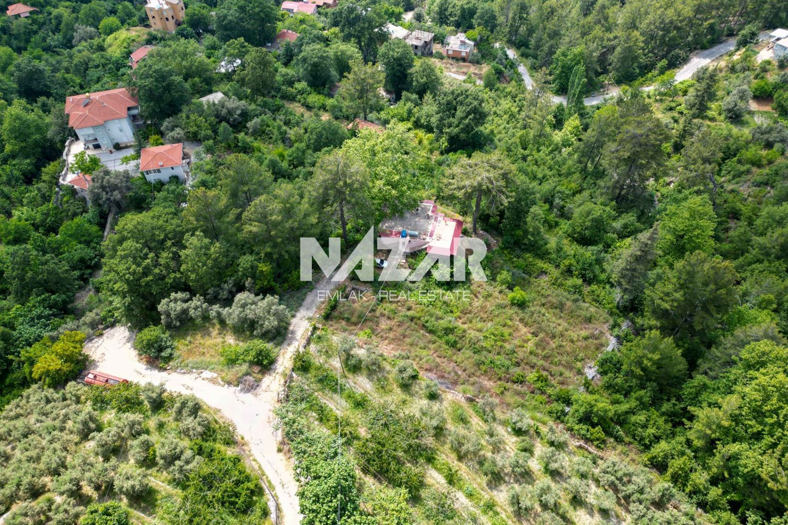 Property-photo